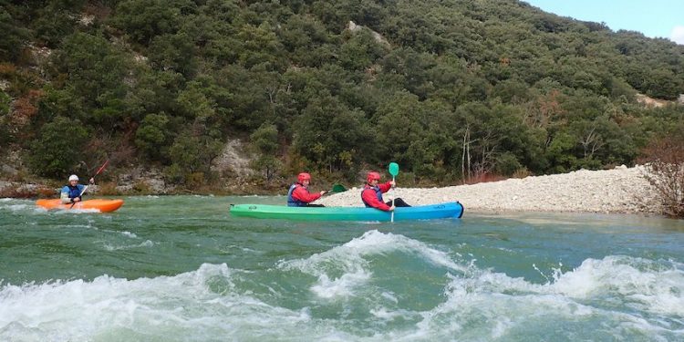 Le CREPS Auvergne-Rhône-Alpes au service du sport et de ses acteurs