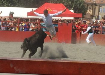 Faire vivre et découvrir les sports traditionnels en Occitanie