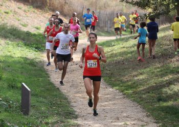 L’actualité sportive de Nanterre en bref