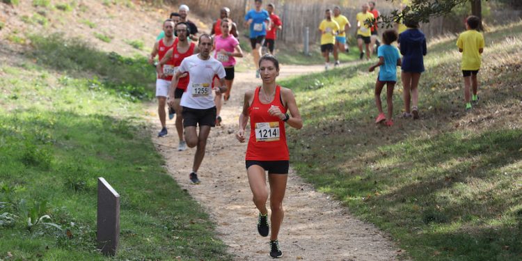 L’actualité sportive de Nanterre en bref