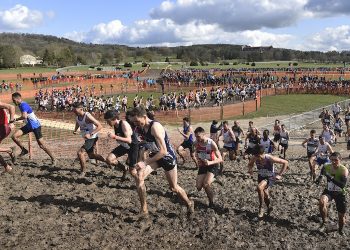 L’athlétisme s’affirme sur le territoire
