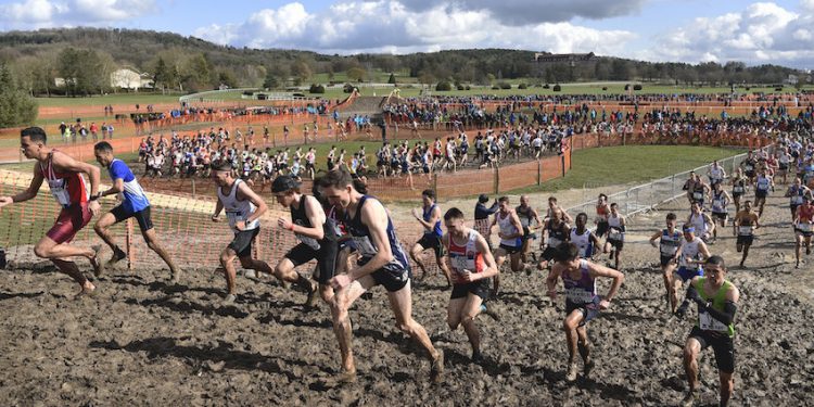 L’athlétisme s’affirme sur le territoire