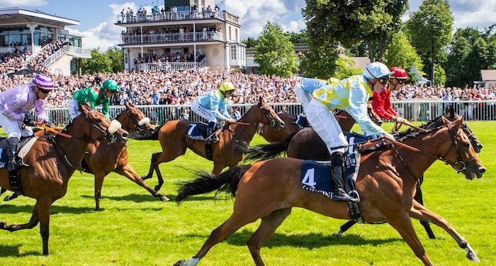 Hippisme : l’Île-de-France, berceau des sports hippiques