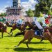 Hippisme : l’Île-de-France, berceau des sports hippiques