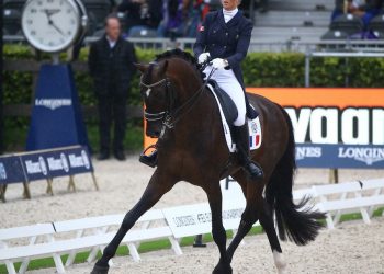 L’équipe de France de dressage manque la qualification olympique
