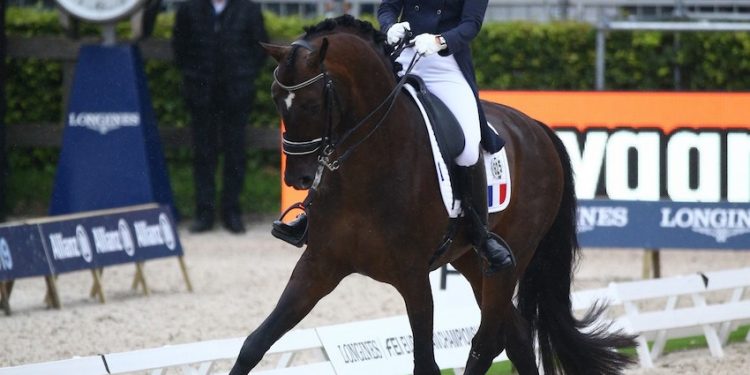 L’équipe de France de dressage manque la qualification olympique