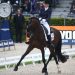 L’équipe de France de dressage manque la qualification olympique