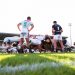 Top 14 : le programme de la 1re journée
