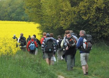 Cet été, faites de la randonnée pédestre en Île-de-France !