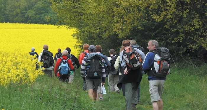 Cet été, faites de la randonnée pédestre en Île-de-France !