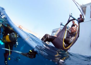 Développer le HandiSub en Région Sud et en France