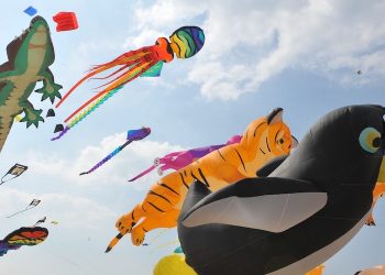 Le cerf-volant comme ambassadeur des cultures