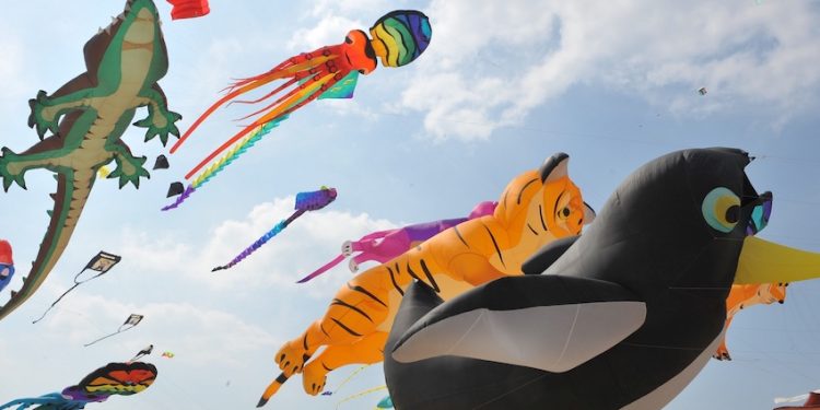 Le cerf-volant comme ambassadeur des cultures