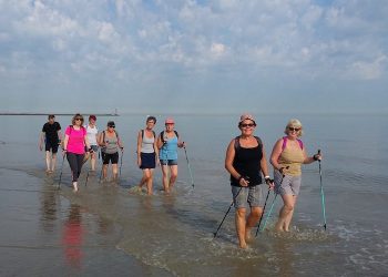 Lutter contre la maladie grâce à DK Pulse