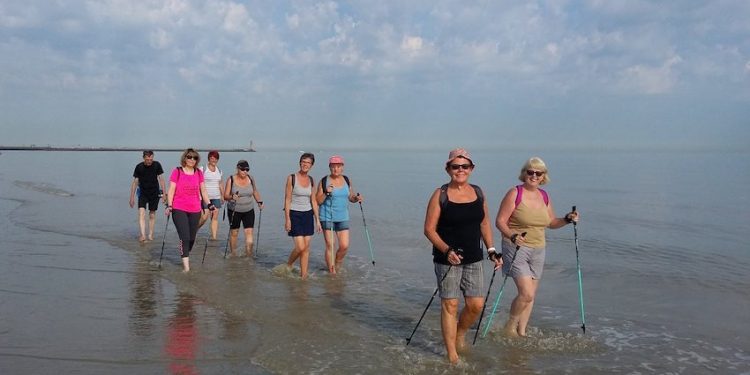 Lutter contre la maladie grâce à DK Pulse