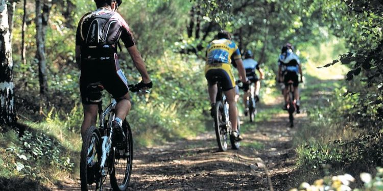 Le Schéma Régional de Développement du Sport dans le Grand Est