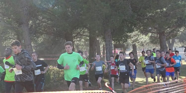 Cross académique : 1 500 élèves avec l’espoir d’accéder aux France