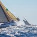 Le programme des Voiles de Saint-Tropez
