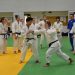 Judo : les Hauts-de-Seine par ippon