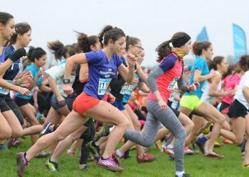 Le cross départemental UNSS se prépare à Nantes