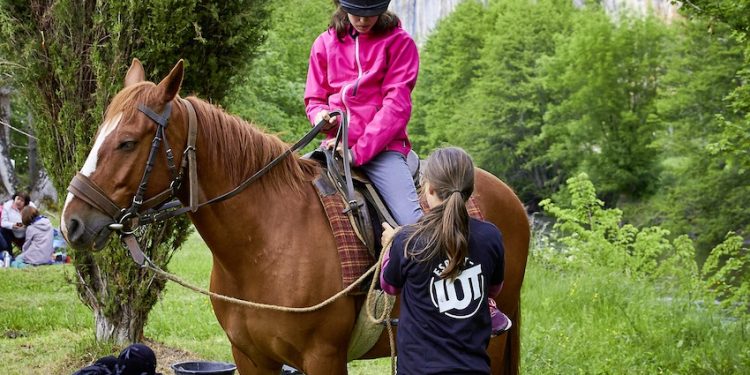 Les différentes missions du CDOS du Lot