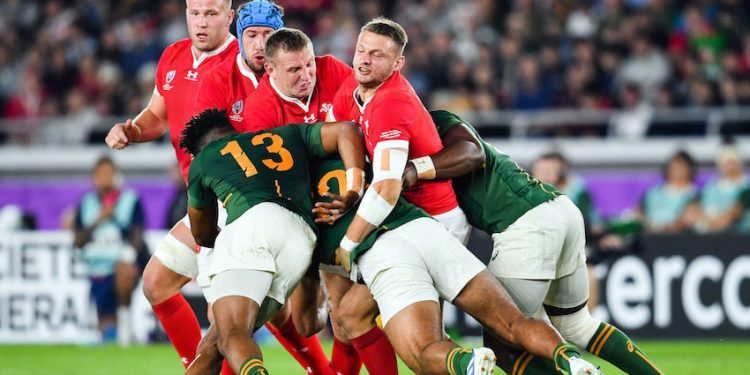 Coupe du monde de rugby 2019 : l’Afrique du Sud en finale