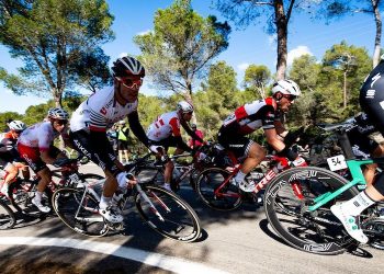 Deux prolongations dans l’équipe de cyclisme Arkéa-Samsic