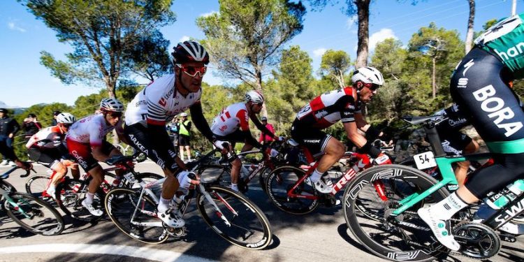 Deux prolongations dans l’équipe de cyclisme Arkéa-Samsic