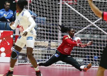 Handball : la liste définitive des Bleues pour le Mondial féminin 2019