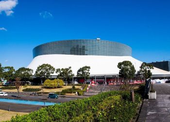 Mondial de handball féminin 2019 : les Bleues cèdent d’entrée