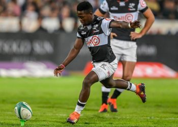 Rugby : le groupe toulousain Team One partenaire des Sharks