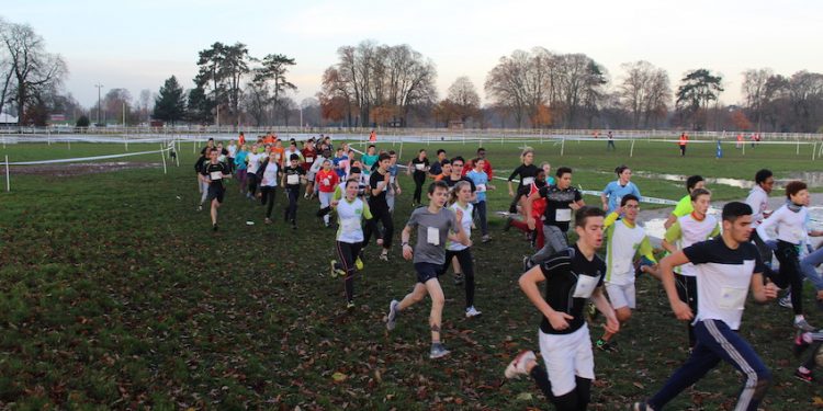 Les Pays de la Loire au rythme du sport scolaire