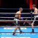 Gala de Boxe Deauville 2019 : Mevy Boufoudi vs Renaud Mollon