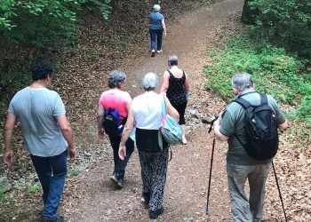 L’APS Vosges gagne ses galons de Maison Sport-Santé
