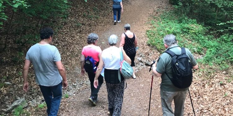 L’APS Vosges gagne ses galons de Maison Sport-Santé