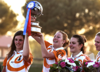 Horse-ball : la Coupe de France à Lamotte-Beuvron