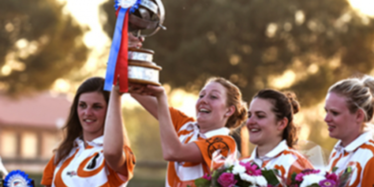 Horse-ball : la Coupe de France à Lamotte-Beuvron