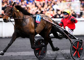 Équitation : le Grand Prix d&rsquo;Amérique fête ses 100 ans