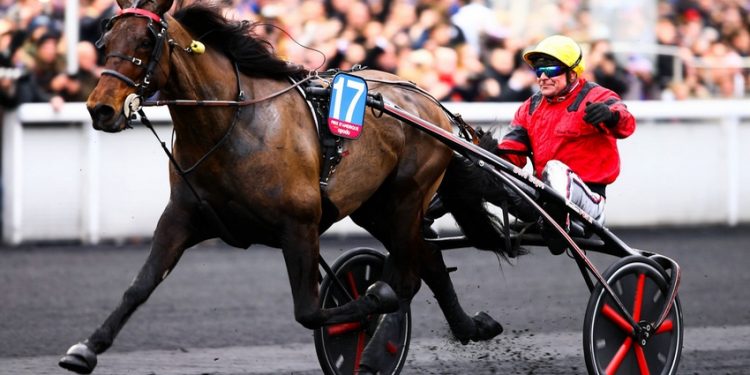 Équitation : le Grand Prix d’Amérique fête ses 100 ans