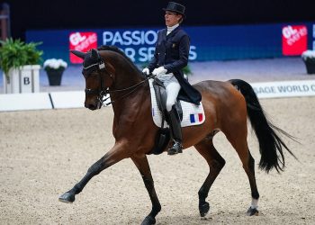 Les trois équipes de France d’équitation présentes aux JO 2020