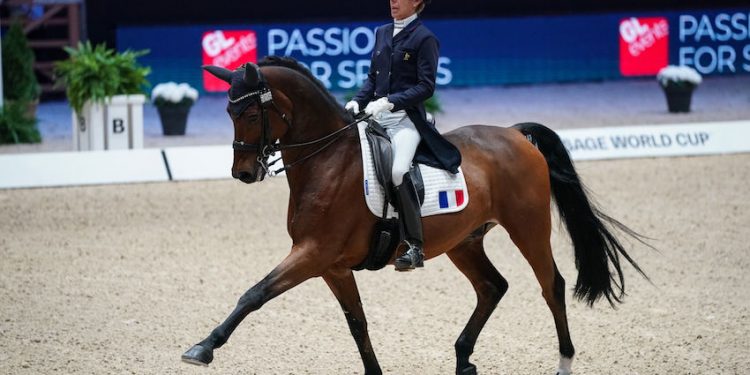 Les trois équipes de France d’équitation présentes aux JO 2020