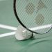 Sport scolaire : le badminton à l’honneur à l’académie Nancy-Metz