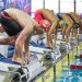 Le rebond de la natation