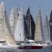 Voile : la course au large a rendez-vous à Cherbourg