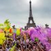 Running : Paris accueille la Color Run le 29 mars