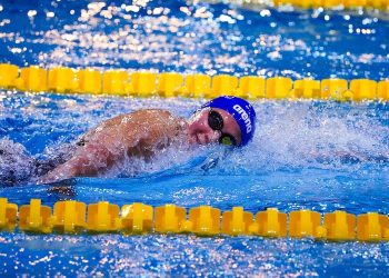 Natation : le développement au cœur du travail de la DTN