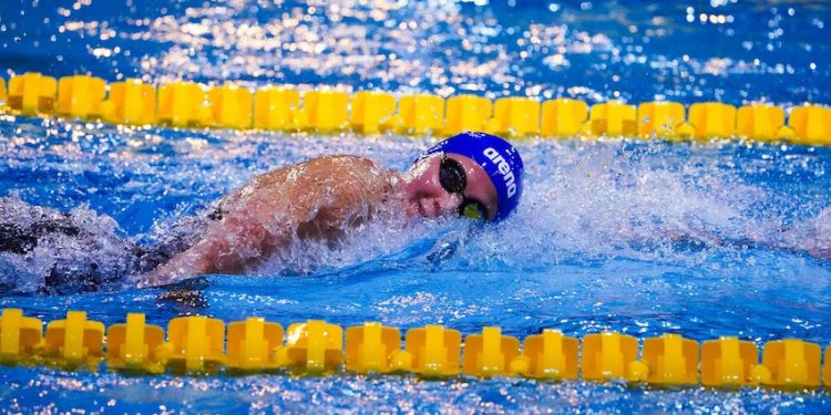 Natation : le développement au cœur du travail de la DTN