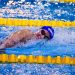 Natation : le développement au cœur du travail de la DTN