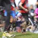 La première édition du Trail de Clamouse se dévoile