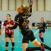 Coupe de France féminine de handball : les affiches des quarts